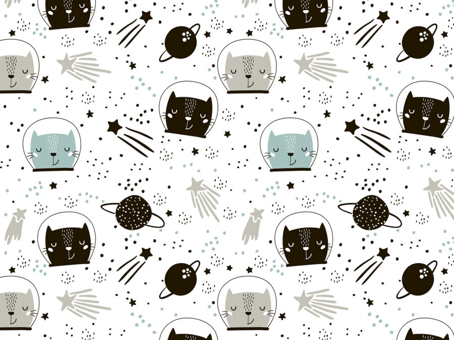 Pattern of cats in space