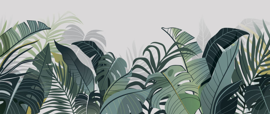 Group of green leaves
