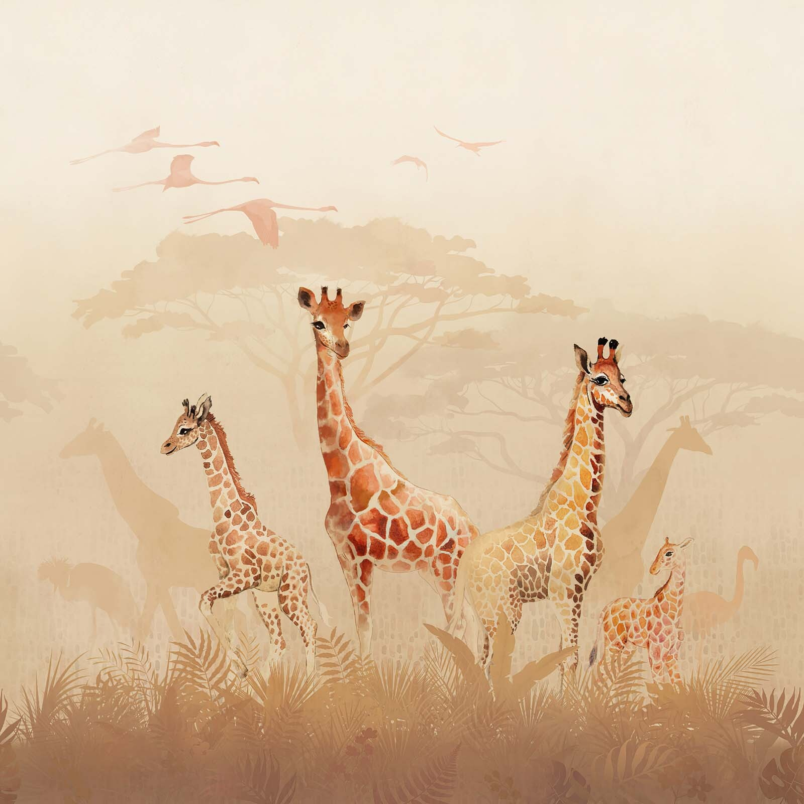 Group of giraffes in a field Group of giraffes in a field