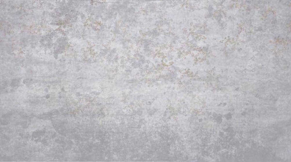 Textured gray surface with subtle details. Textured gray surface with subtle details.