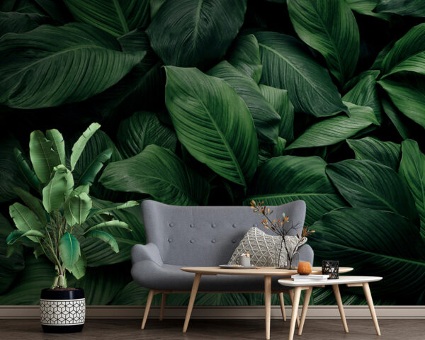 Large green leaves Large green leaves