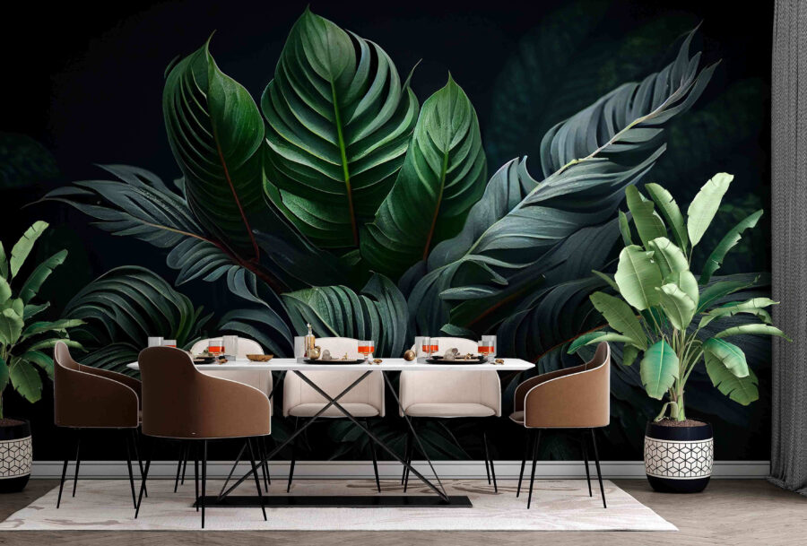 Lush greenery in soft shadows