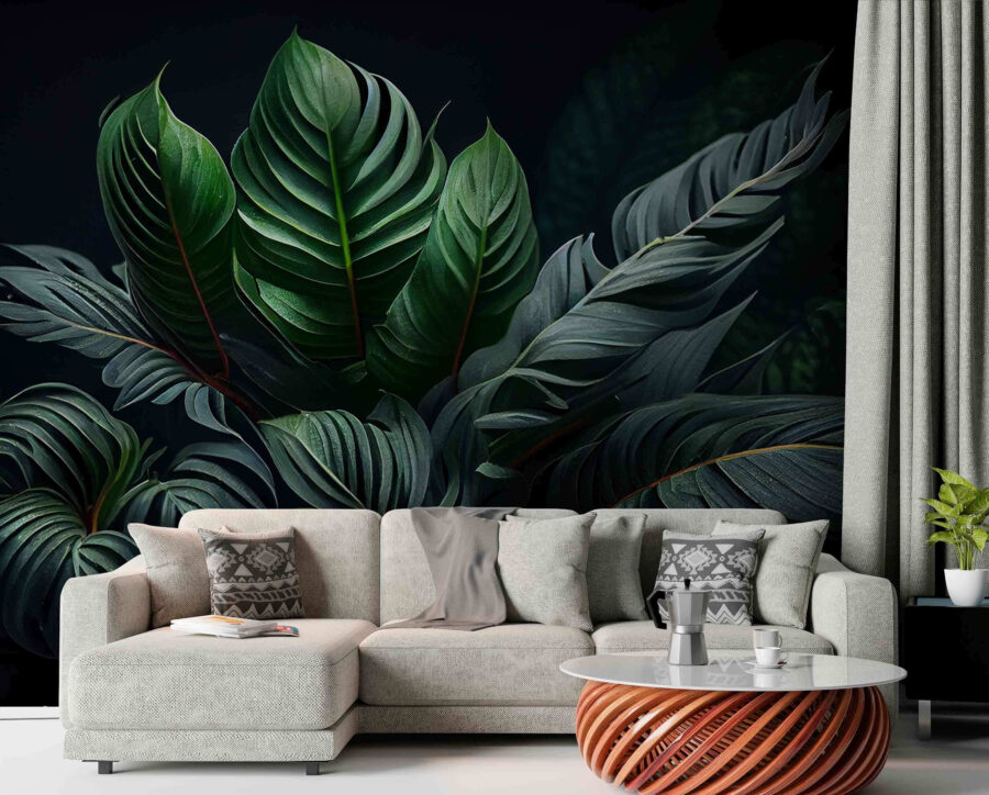 Lush greenery in soft shadows