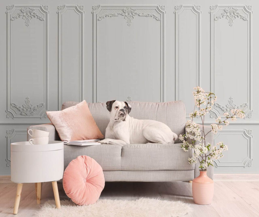 Wall with white walls Wall with white walls