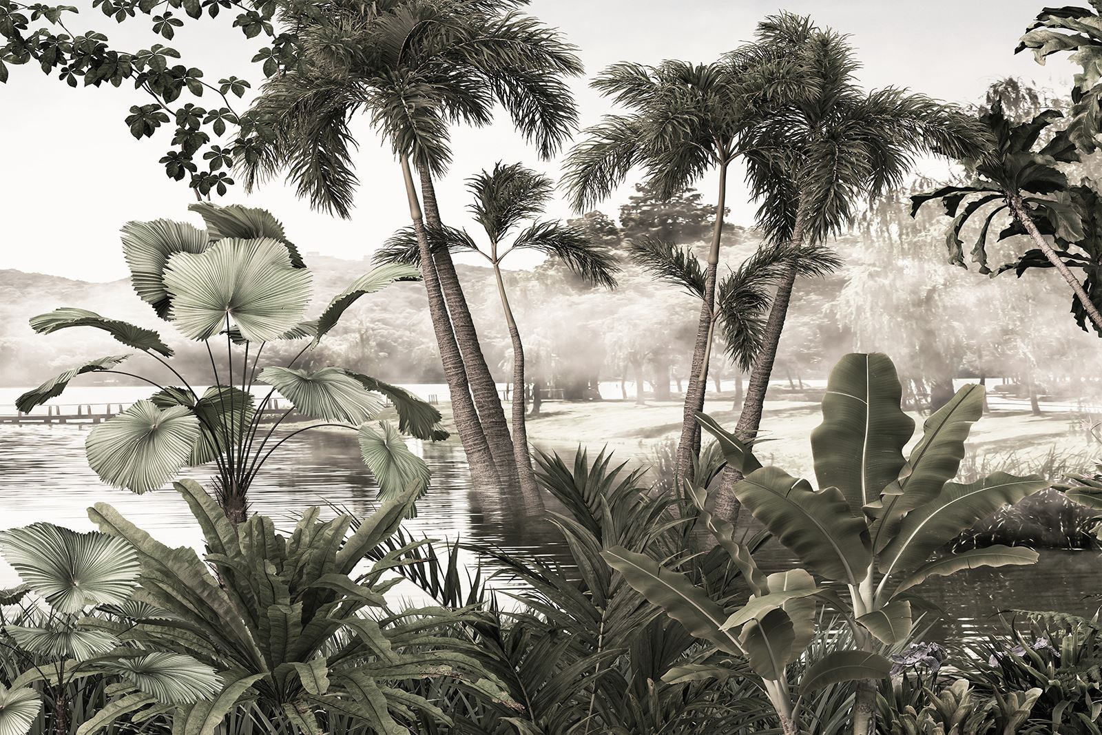 u72340p - A group of palm trees in water - tegory