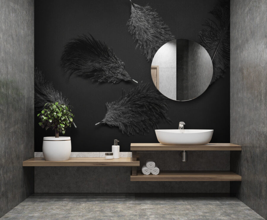 Wall murals Group of black feathers - Image 2