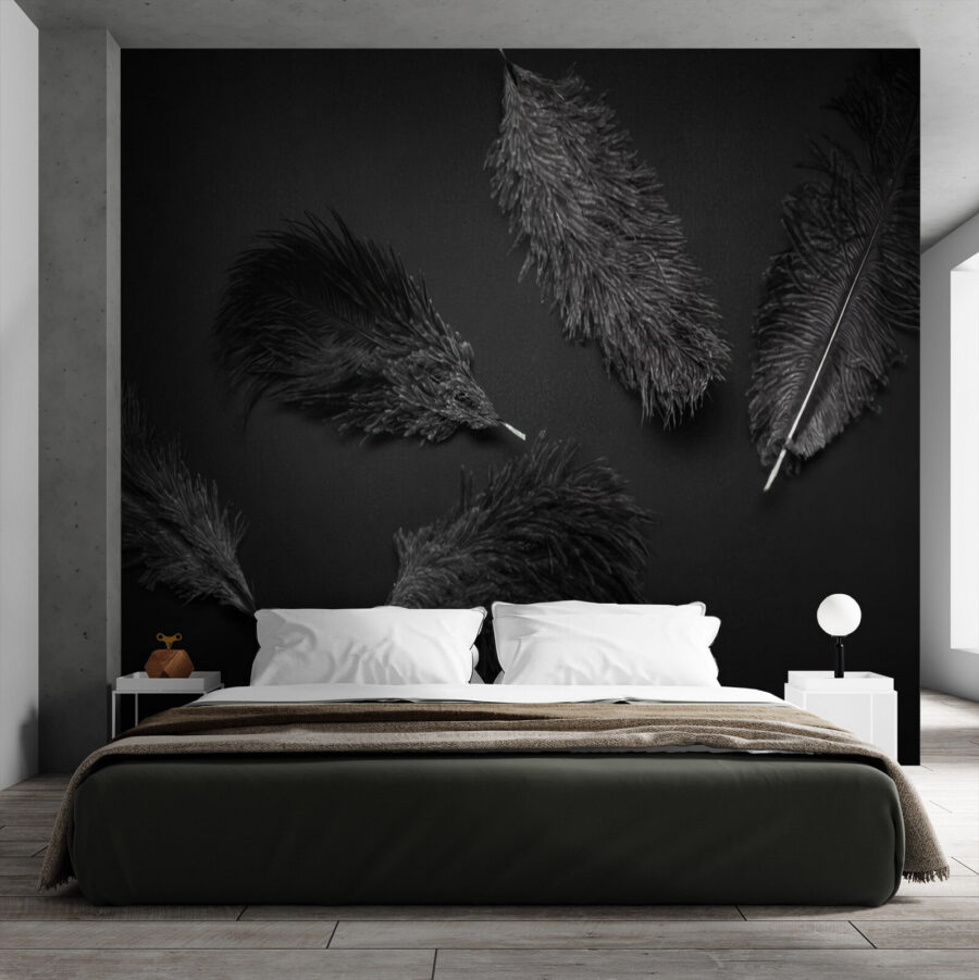 Wall murals Group of black feathers
