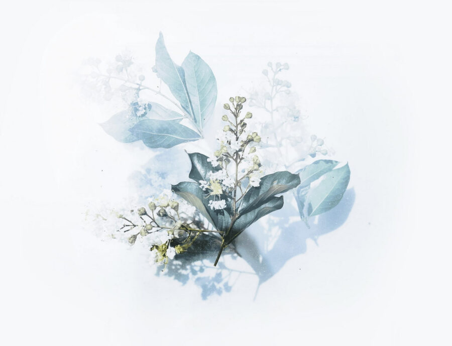 Gently arranged nature’s elegant touch