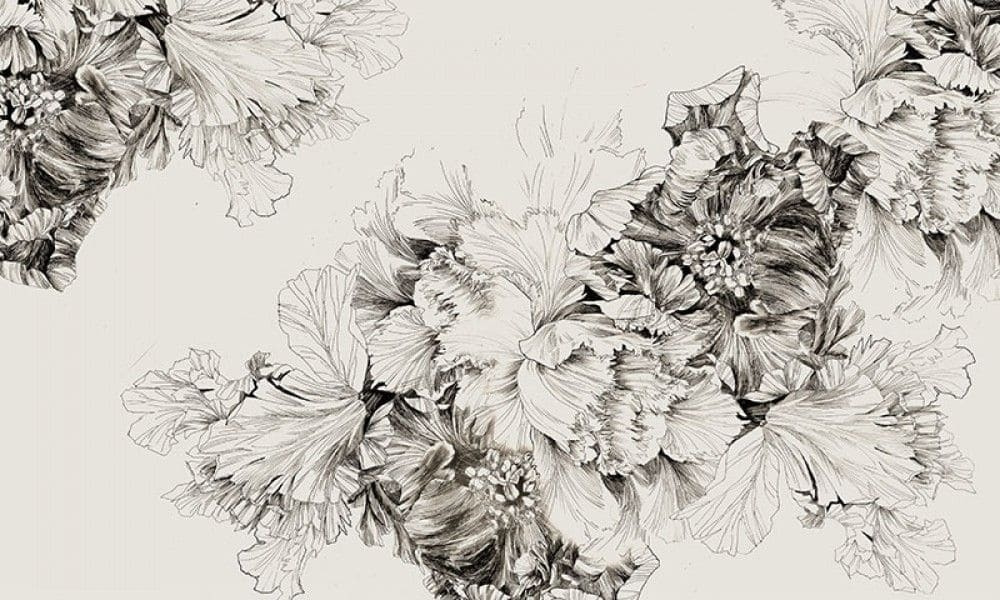 Drawing of flowers on a white background Drawing of flowers on a white background