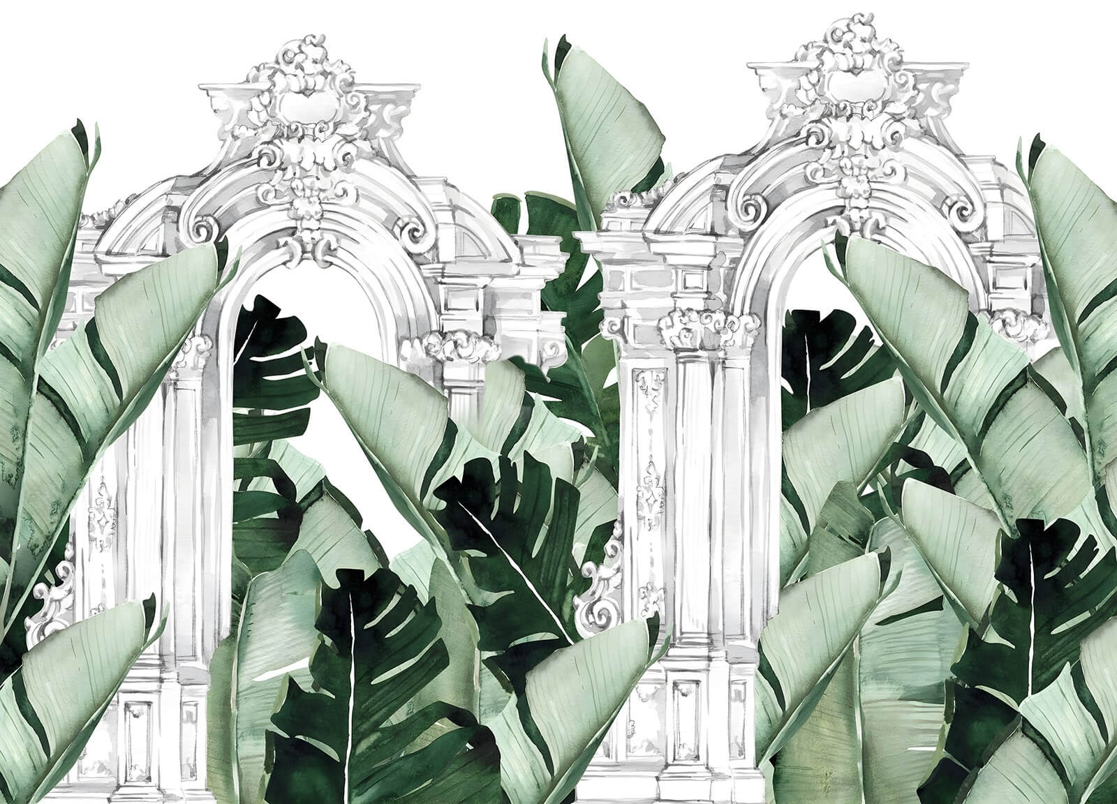 White archway with green leaves u71503p - White archway with green leaves - tegory