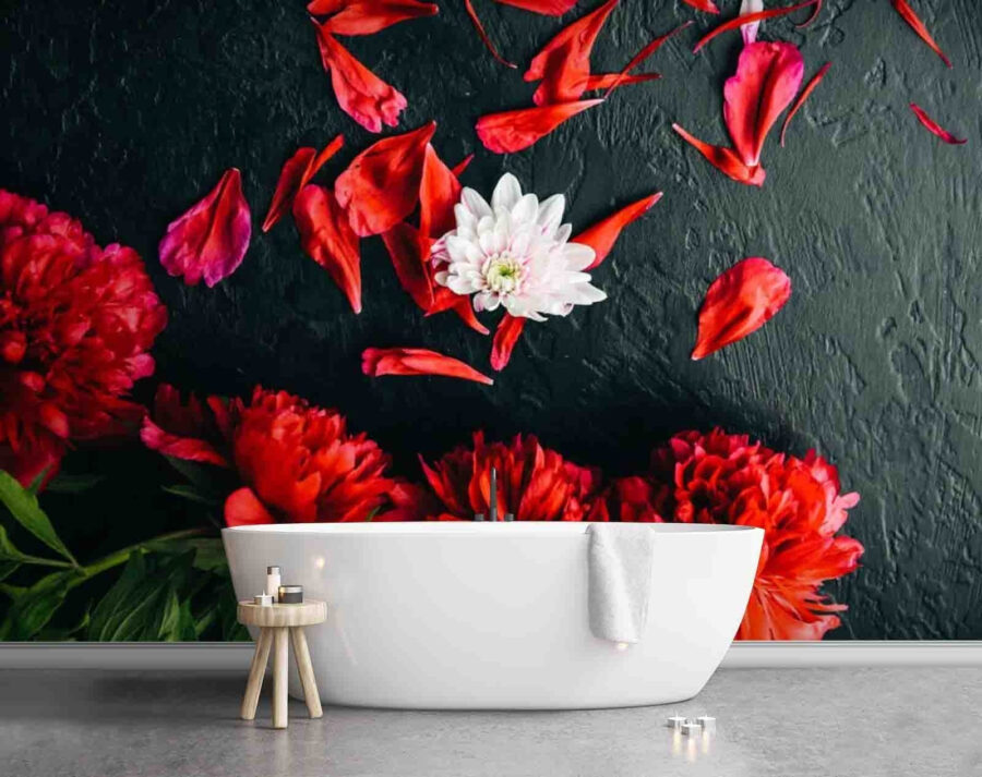 Group of red flowers with petals on a black surface
