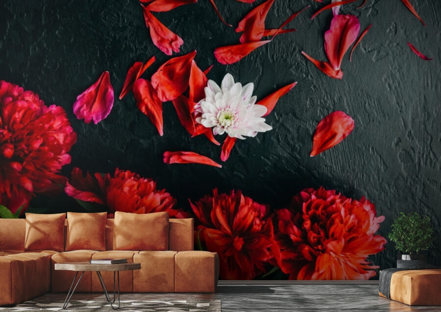 Group of red flowers with petals on a black surface