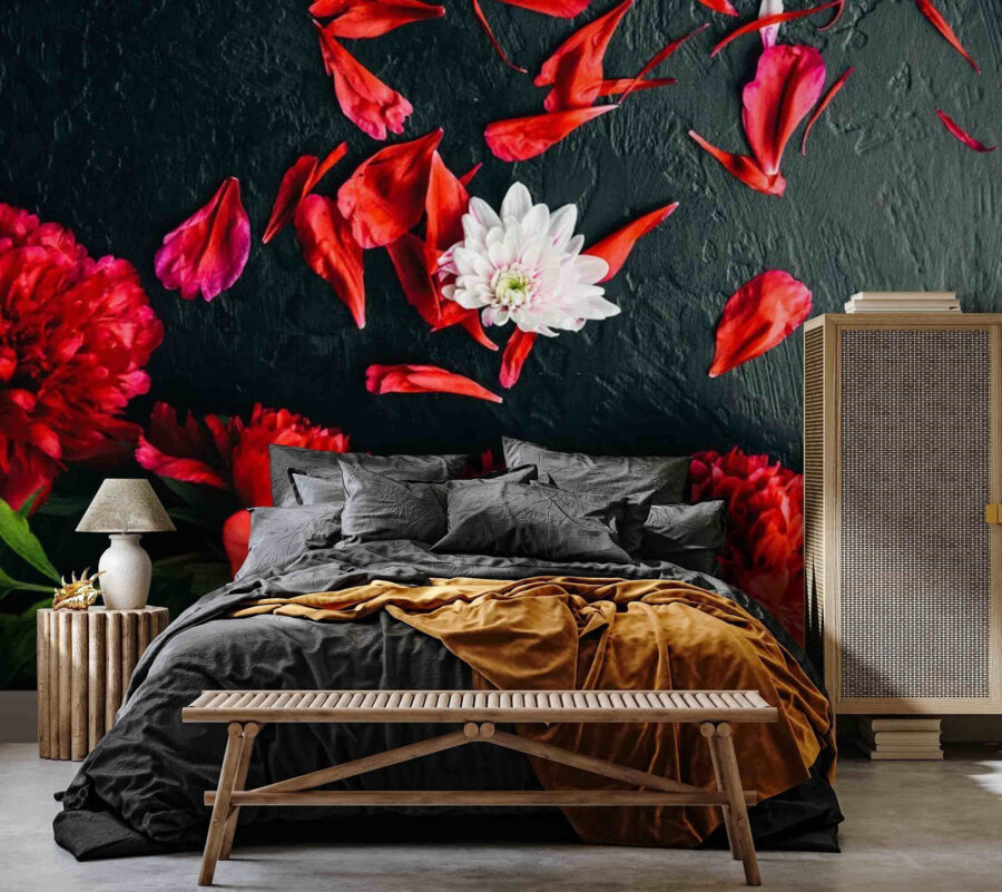 Group of red flowers with petals on a black surface