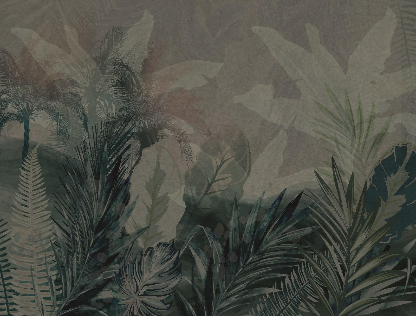 u71423p - Group of leaves on a grey background - tegory