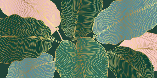Tropical leaves with elegant lines