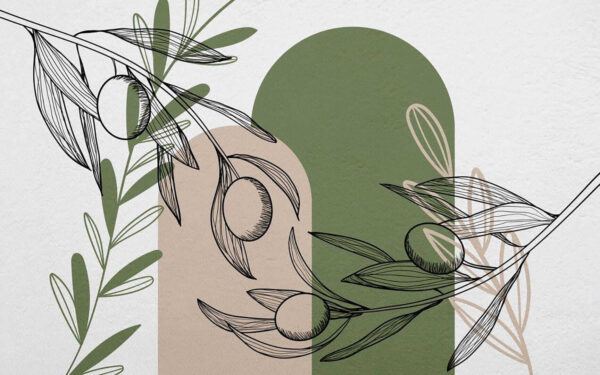 Drawing of olives on a branch Drawing of olives on a branch