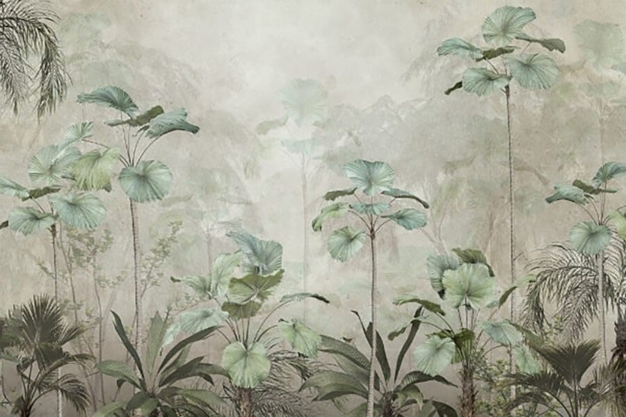 Group of plants in a foggy forest Group of plants in a foggy forest