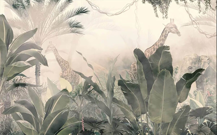 Giraffes in a forest with trees and plants