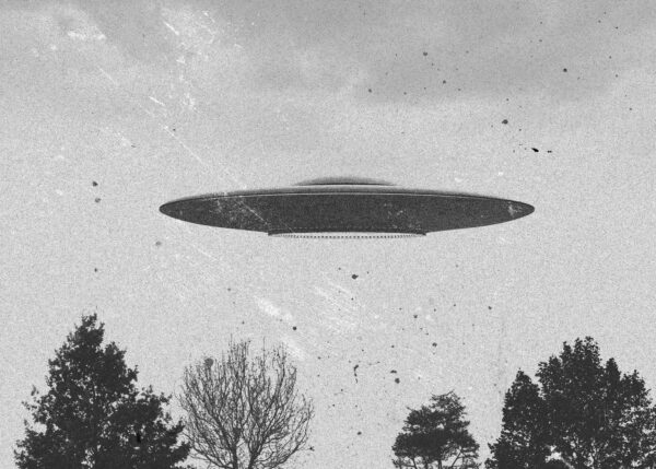 Ufo flying over trees Ufo flying over trees