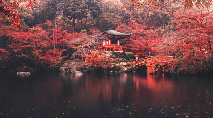 Small building with red bridge over water