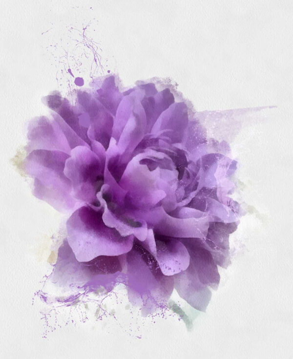 Purple flower with paint splashes Purple flower with paint splashes