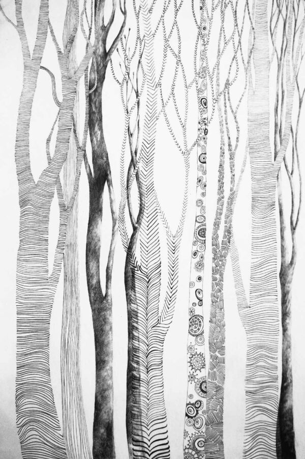 Drawing of trees with lines on it Drawing of trees with lines on it