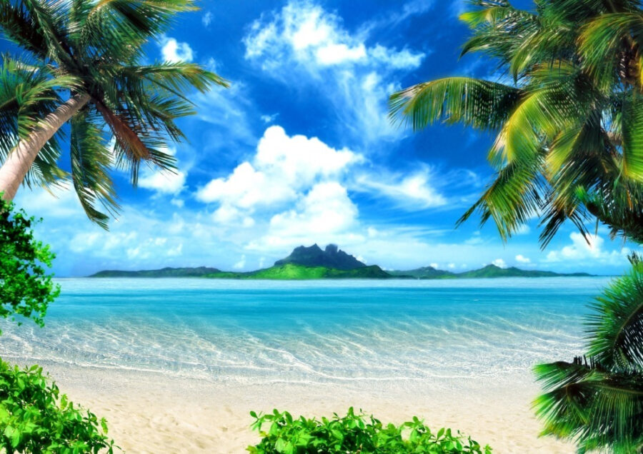 Beach with palm trees and blue water