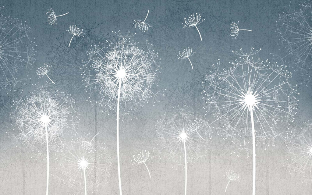 White dandelions in the air White dandelions in the air
