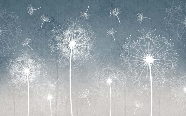 White dandelions in the air White dandelions in the air