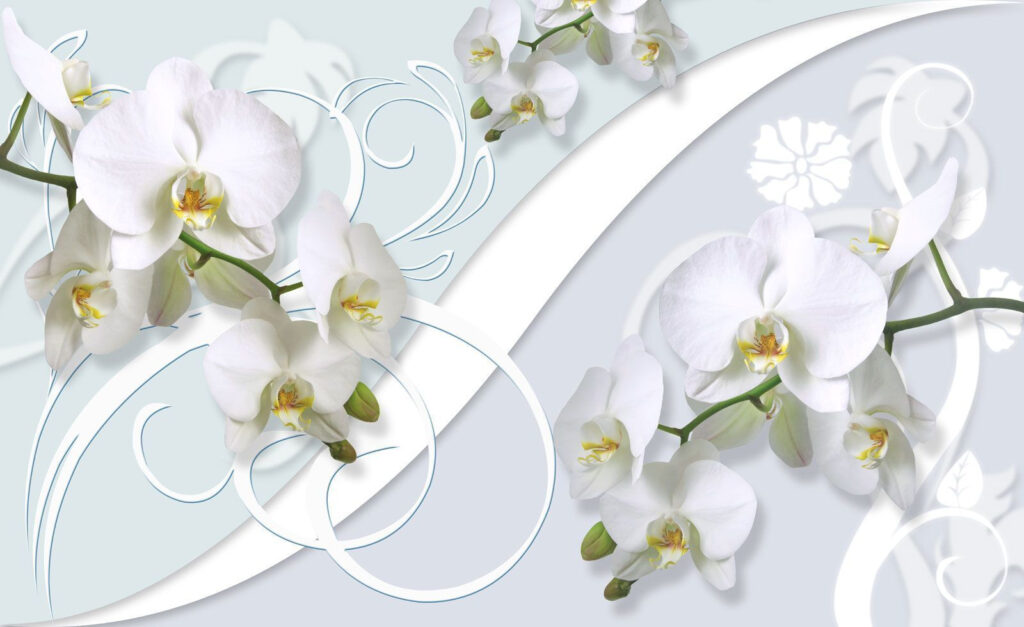 Beautiful orchids on a soft background Beautiful orchids on a soft background