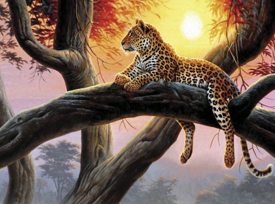 Wall murals Leopard lying on a tree branch - Image 11