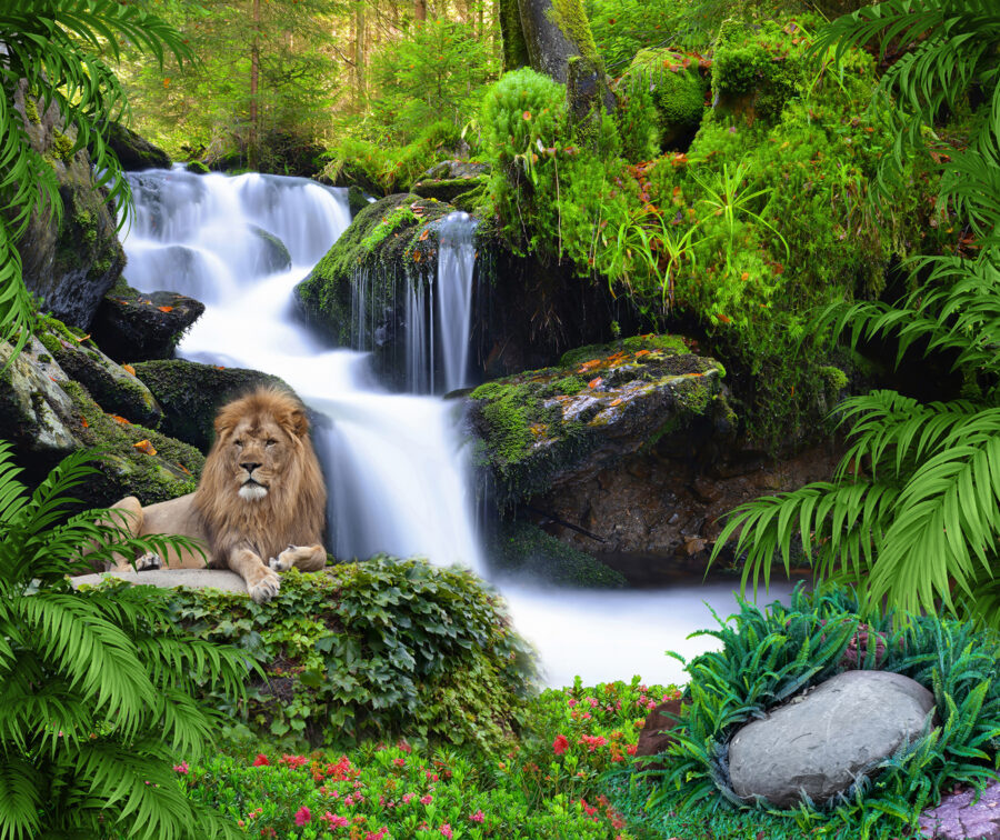 Lion lying on a rock next to a waterfall