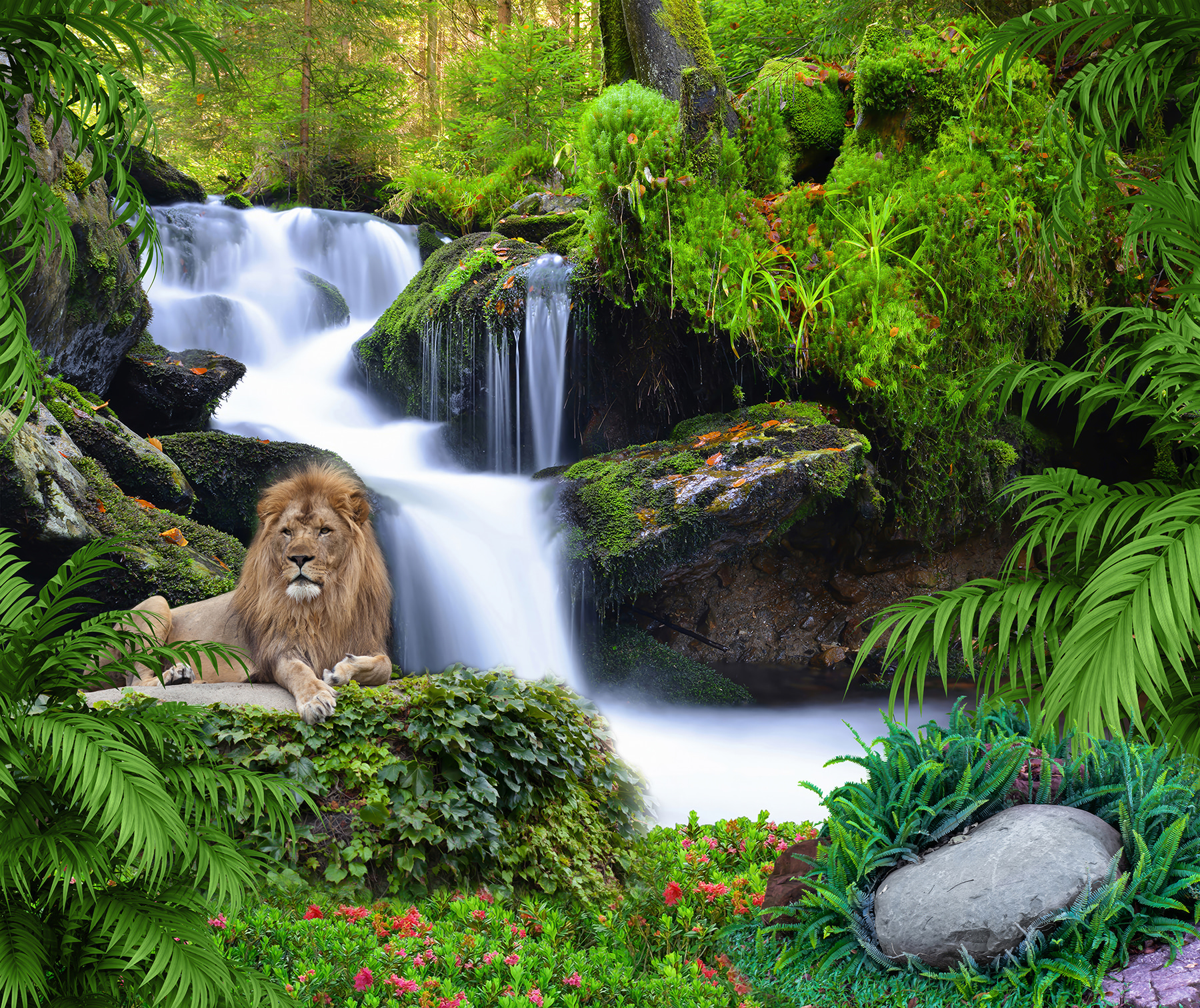 Lion lying on a rock next to a waterfall Lion lying on a rock next to a waterfall