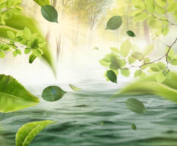 Water with leaves flying through the air Water with leaves flying through the air