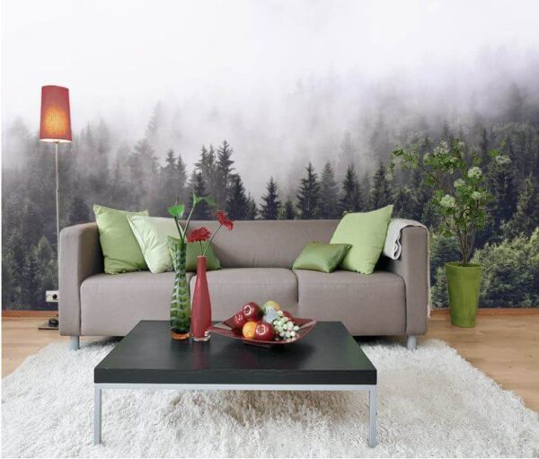 Forest of trees with fog Forest of trees with fog