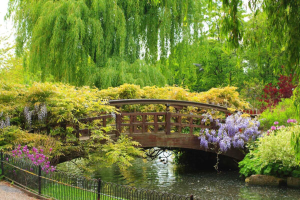 Bridge over water with trees and plants Bridge over water with trees and plants