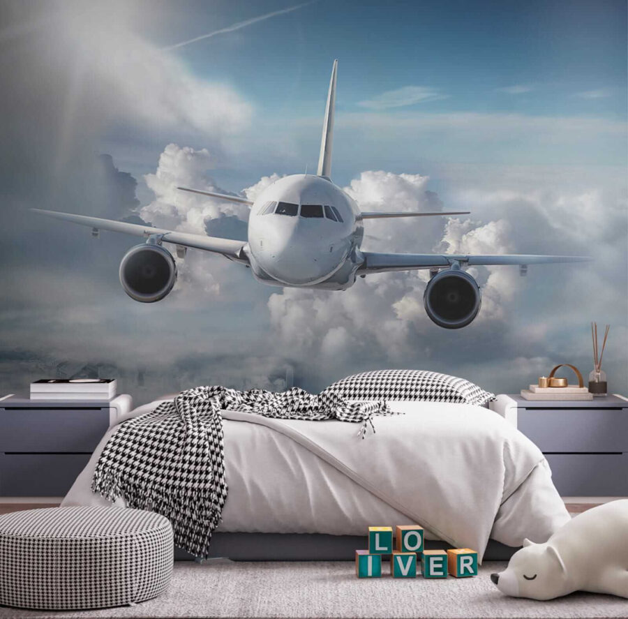 Wall murals An airplane flying in the sky - Image 6