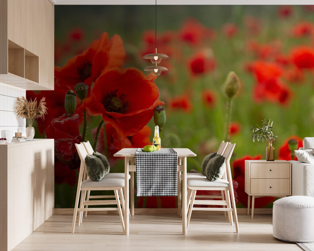 Field of red flowers u61697pik119m 1024x819 - Field of red flowers - tegory