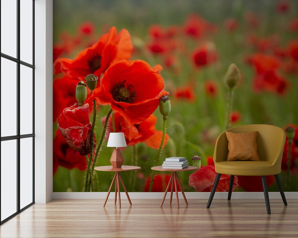 Field of red flowers u61697pig3 1024x819 - Field of red flowers - tegory