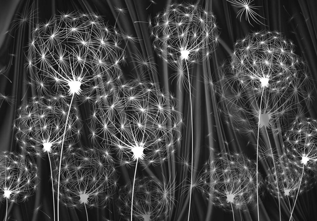 Delicate seeds ready to disperse Delicate seeds ready to disperse