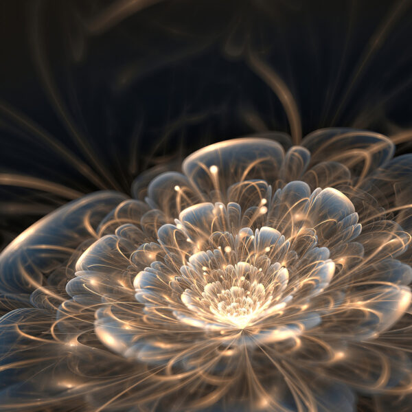Mesmerizing floral abstract design Mesmerizing floral abstract design