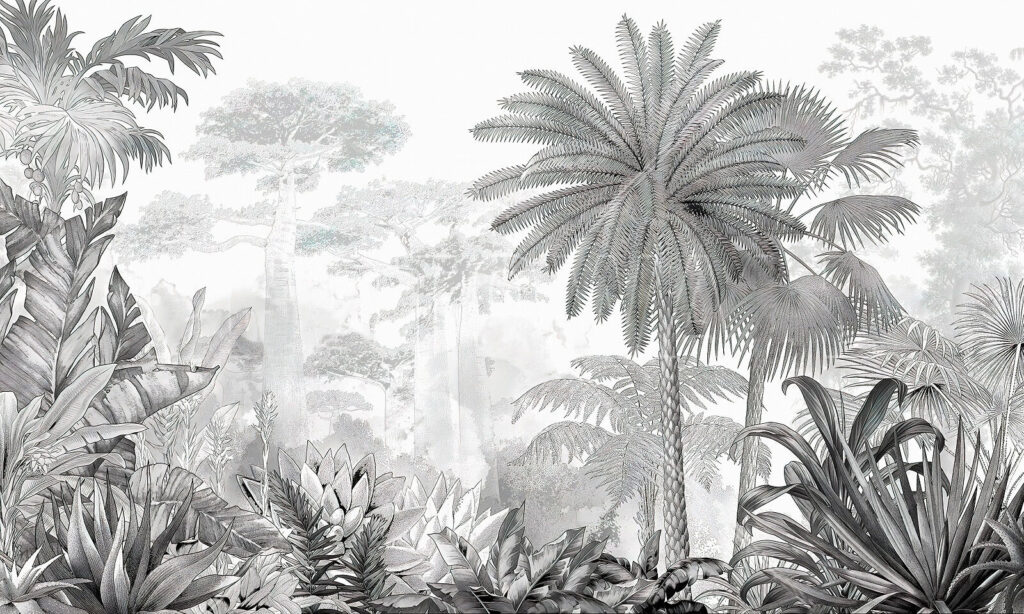 Black and white image of a forest Black and white image of a forest