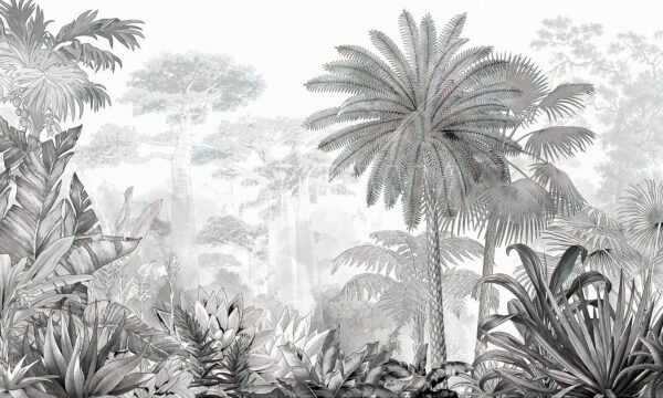 Black and white image of a forest Black and white image of a forest