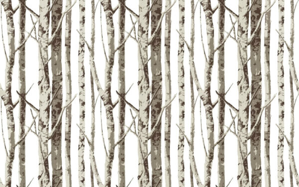 Group of trees with no leaves