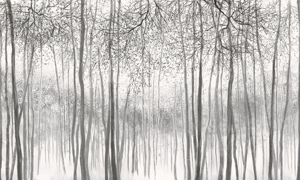 Group of trees in a snowy forest Group of trees in a snowy forest