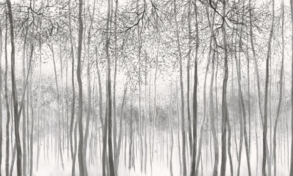 Group of trees in a snowy forest Group of trees in a snowy forest