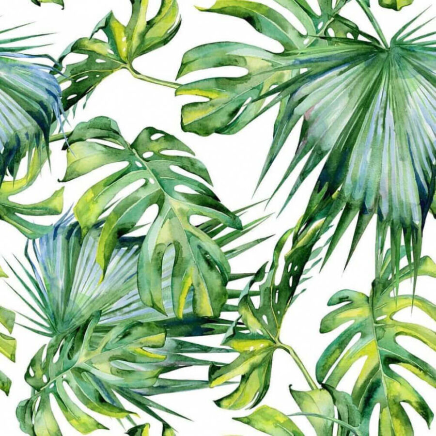 A close up of leaves