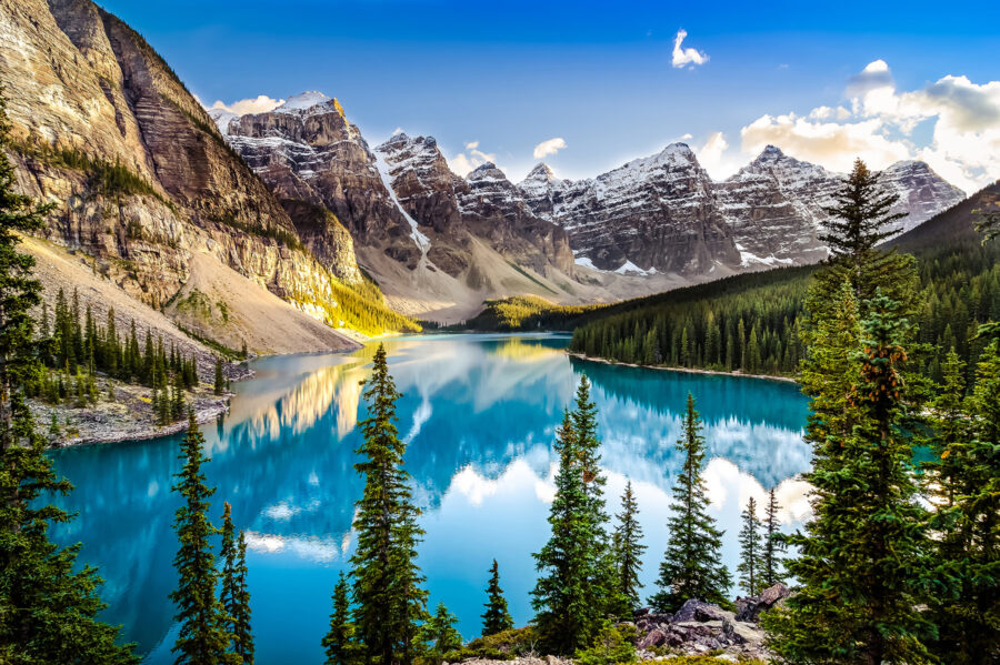 Lake surrounded by trees and mountains