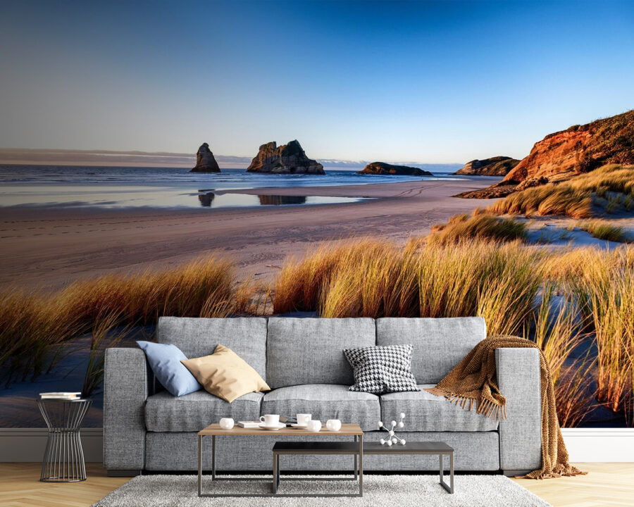 Beach with tall grass and rocks