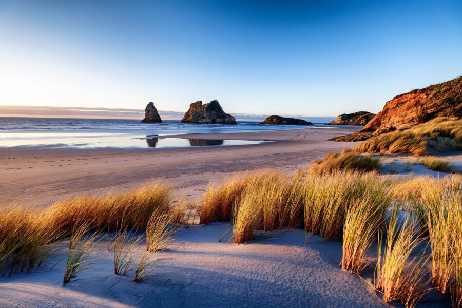 Beach with tall grass and rocks